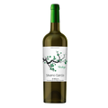 Silvano García Verdejo Ecológico